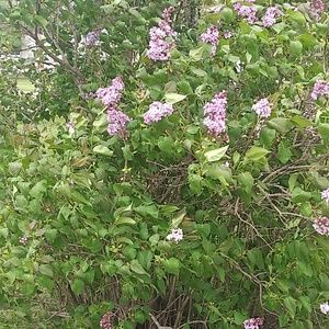 Meet your Posher, Terri